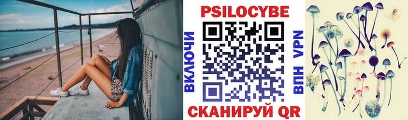 Купить где  Смоленск  Псилоцибиновые грибы Psilocybe 